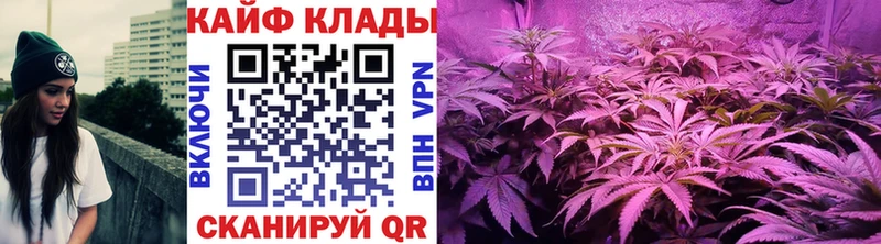Где купить наркотики Алдан Alpha-PVP Кодеин Бошки Шишки Кокаин Меф АМФ
