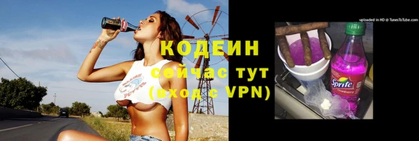 трава Осинники