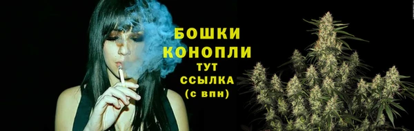 трава Осинники