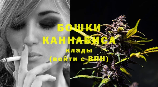 трава Осинники