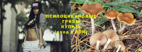трава Осинники