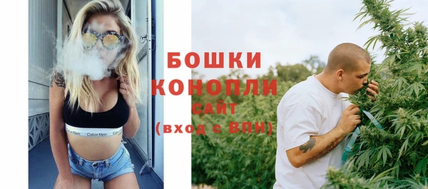 трава Осинники