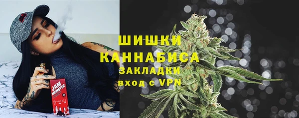 трава Осинники